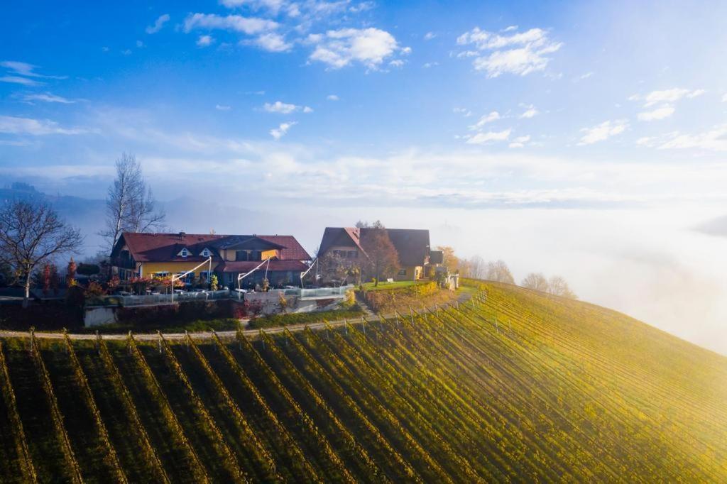 Weingut Essgut Schlafgut Sabathihof-Dillinger Hotel Glanz an der Weinstrasse Exterior photo