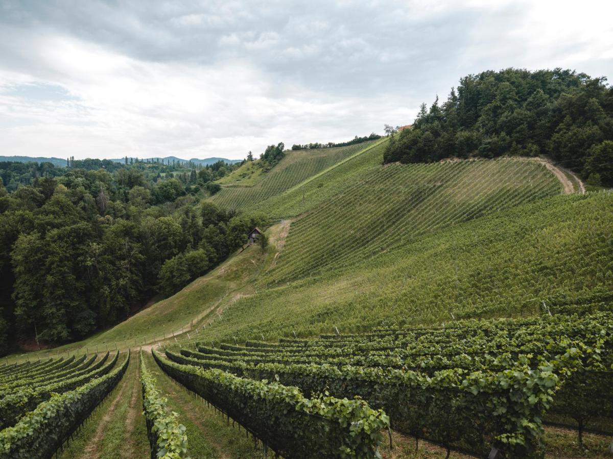 Weingut Essgut Schlafgut Sabathihof-Dillinger Hotel Glanz an der Weinstrasse Exterior photo